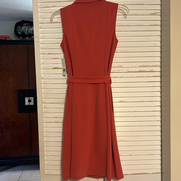 Elegant Terracotta Sleeveless Dress Size 2 - Picture 6 of 11